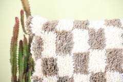 Aelyndron Checkered Pillow