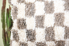 Aelyndron Checkered Pillow